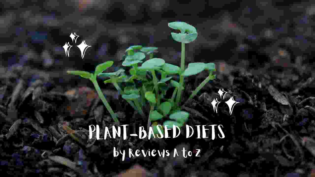The Rise of Plant-Based Diets: A Review of Popular Meat Alternatives